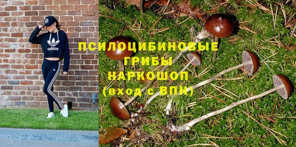 спиды Елизово