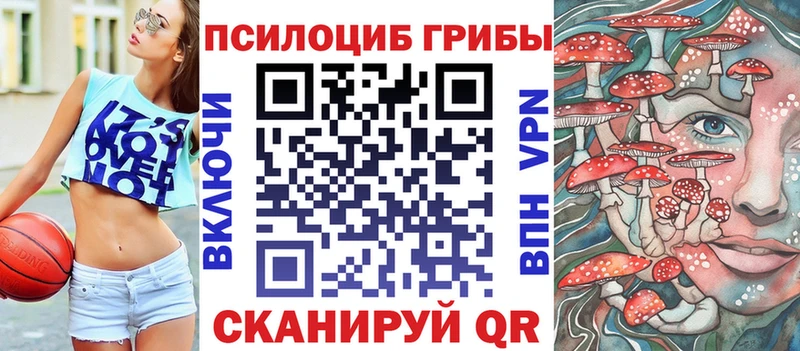 Галлюциногенные грибы Magic Shrooms ОМГ ОМГ ONION Вологда