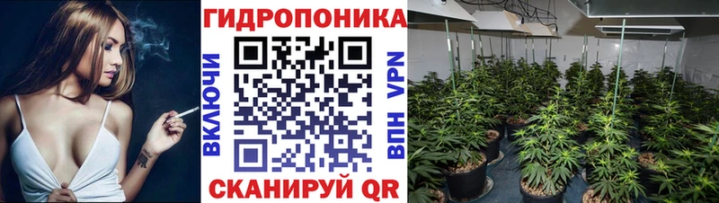 Бошки марихуана Amnesia  цены   Вологда 